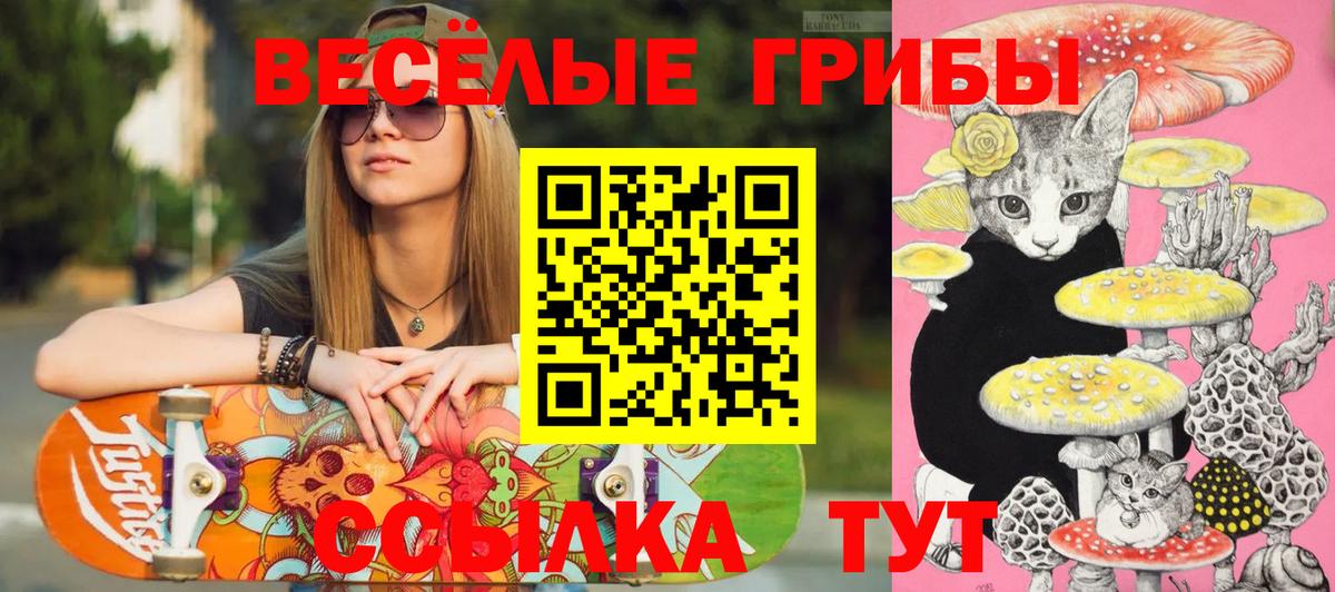 Псилоцибиновые грибы мухоморы  Вход с VPN  Димитровград  где найти наркотики  Псилоцибиновые грибы Psilocybine cubensis 